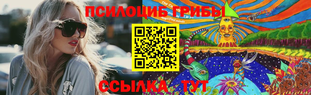 Ангарск  Псилоцибиновые грибы MAGIC MUSHROOMS  Псилоцибиновые грибы Magic Shrooms  Вход с VPN 